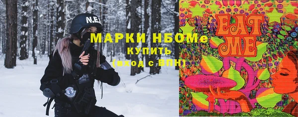 соль ск Вязьма