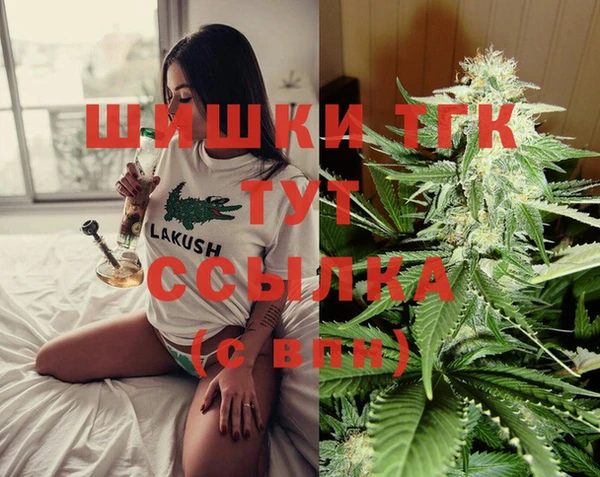 mdma Новодвинск